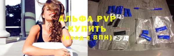 дживик Бородино