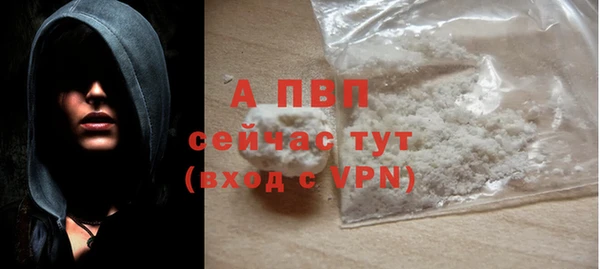 дживик Бородино