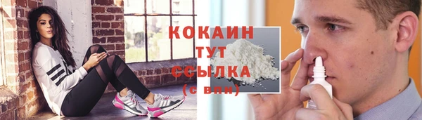 шишки Бронницы