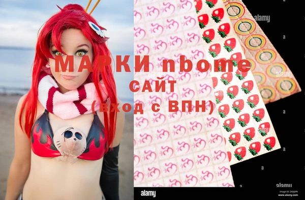 дживик Бородино