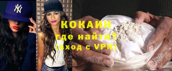 шишки Бронницы