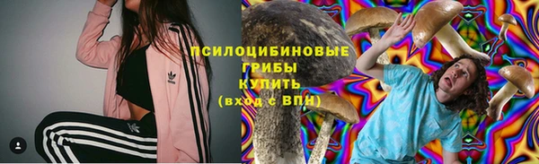 дживик Бородино