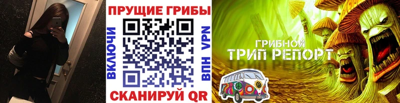 Галлюциногенные грибы ЛСД  Межгорье 